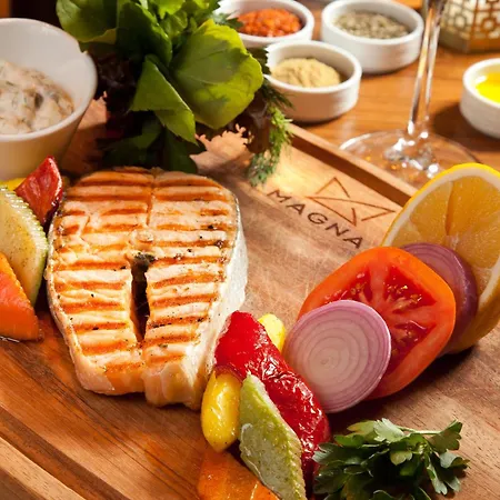 Magna Pivot Otel Erciyes