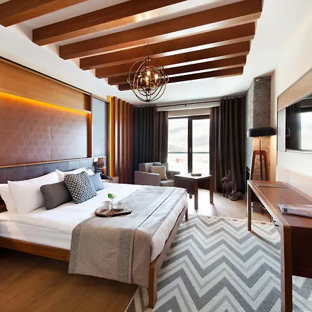 Hotel Magna Pivot Erciyes