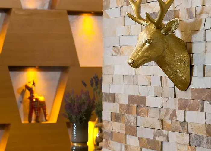 Magna Pivot 호텔 Erciyes